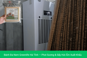 Bánh Đa Nem Greenlife Hà Tĩnh — Phơi Sương & Sấy Hút Ẩm Xuất Khẩu