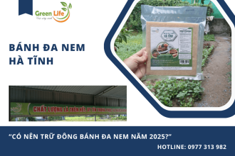 Có nên trữ đông bánh đa nem Hà Tĩnh năm 2025? Lời khuyên mới