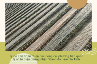 Hoàn thiện công cụ quản lý nhãn hiệu Bánh đa nem Hà Tĩnh để bảo vệ làng nghề và nâng tầm thương hiệu