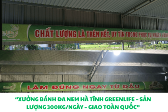Xưởng Bánh Đa Nem Hà Tĩnh Greenlife – Quy Mô Lớn, Sấy Hút Ẩm, Giao Hàng Toàn Quốc