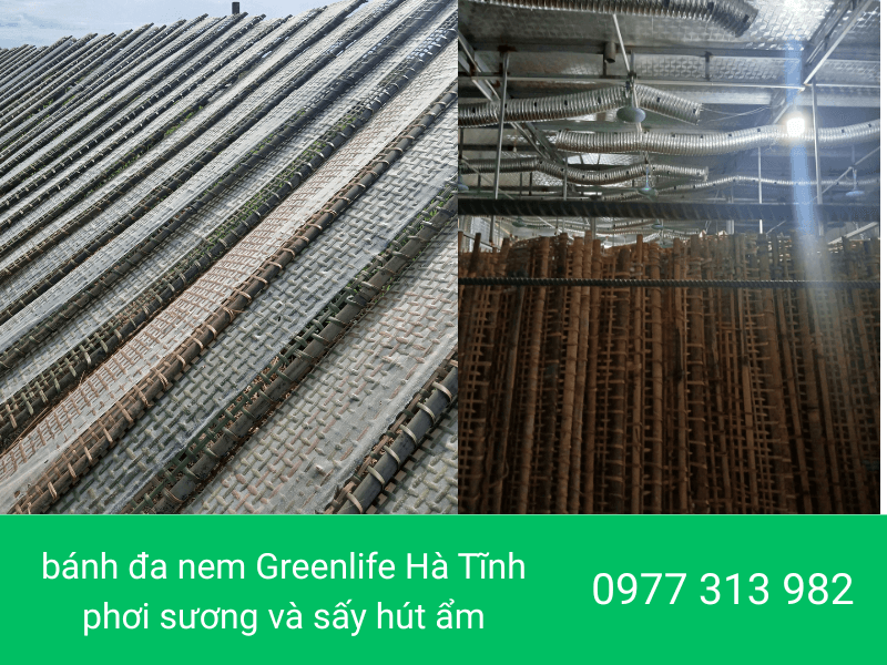 bánh đa nem Greenlife Hà Tĩnh phơi sương và sấy hút ẩm